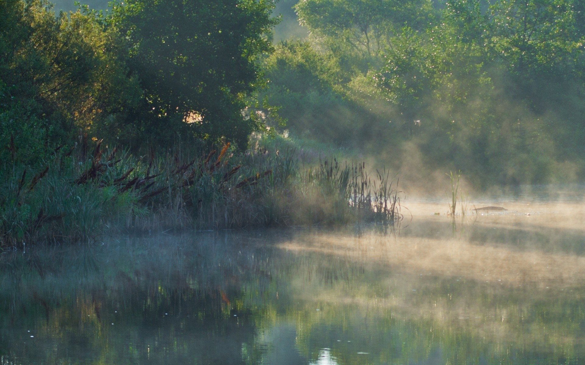 rivers ponds and streams landscape water tree reflection lake fog river dawn outdoors mist environment weather nature swamp daylight wood scenic