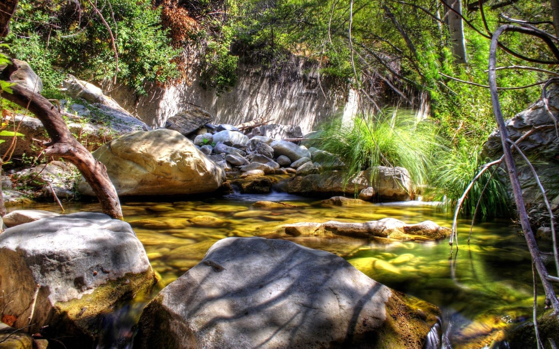 ríos estanques y arroyos estanques y arroyos agua naturaleza río corriente cascada creek madera cascada roca corriente musgo hoja paisaje otoño piedra salvaje parque árbol húmedo medio ambiente