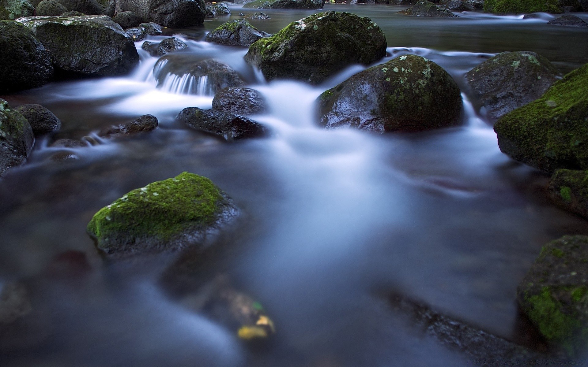 rivers ponds and streams water stream waterfall river moss blur creek flow cascade photograph rock nature wet outdoors fall rapids leaf motion wood