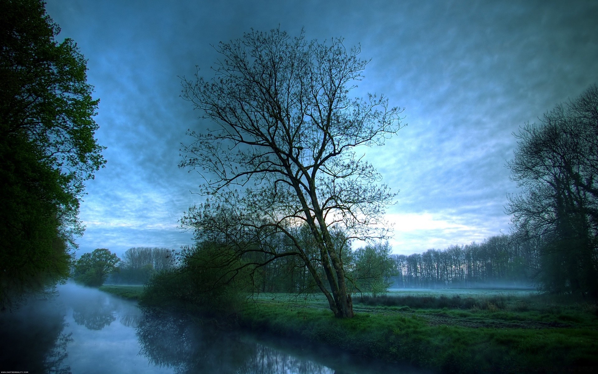 ríos estanques y arroyos estanques y arroyos árbol paisaje naturaleza madera amanecer niebla tiempo lago niebla al aire libre pintoresco parque buen tiempo