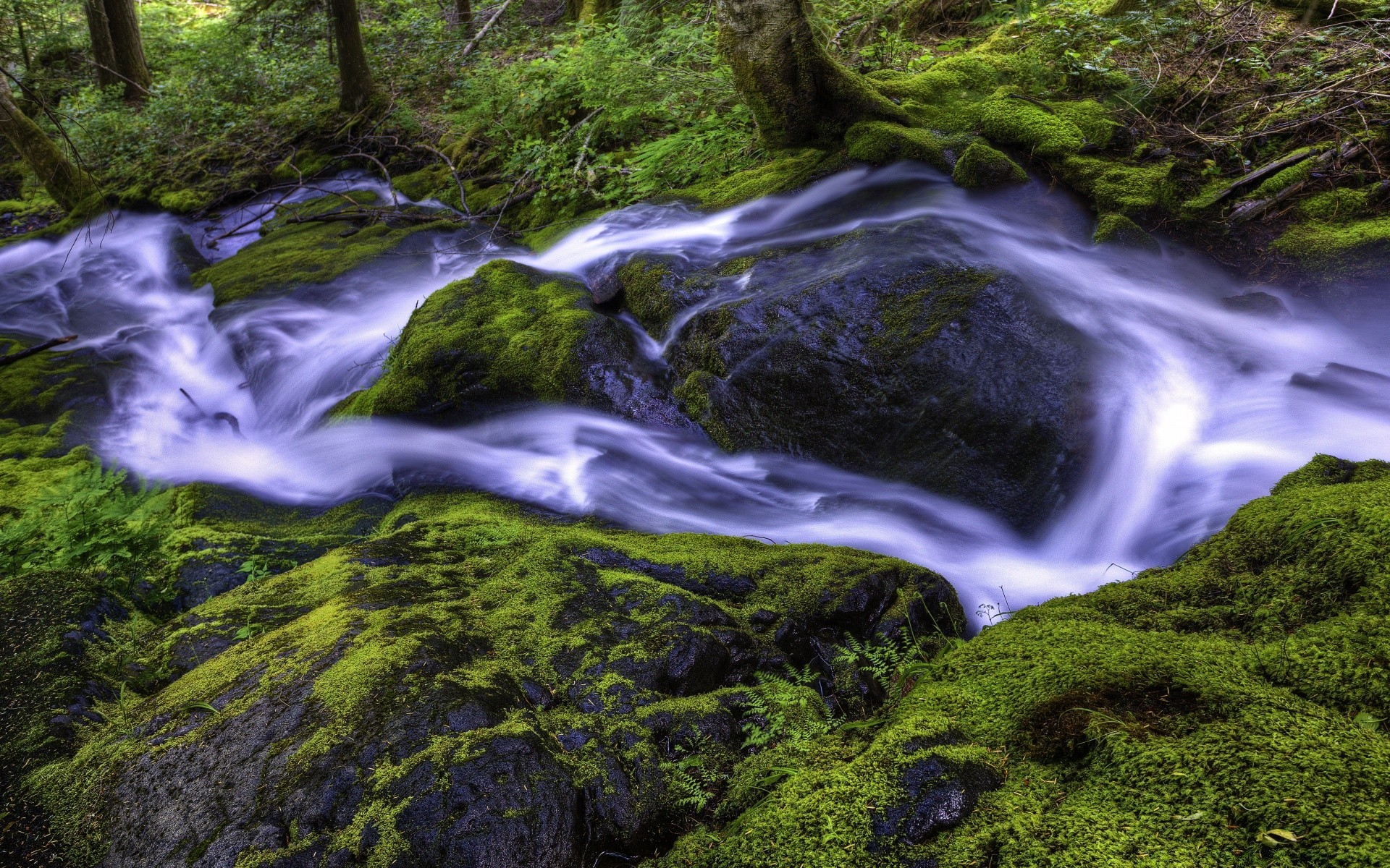 flüsse teiche und bäche teiche und bäche moos wasserfall wasser fluss natur holz fluss felsen landschaft kaskade schrei baum im freien wild blatt fluss medium berge nass