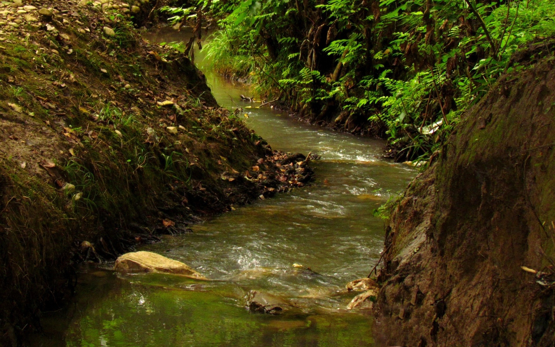 rivers ponds and streams water river stream nature waterfall wood moss outdoors travel leaf landscape flow rock fall wet creek mountain