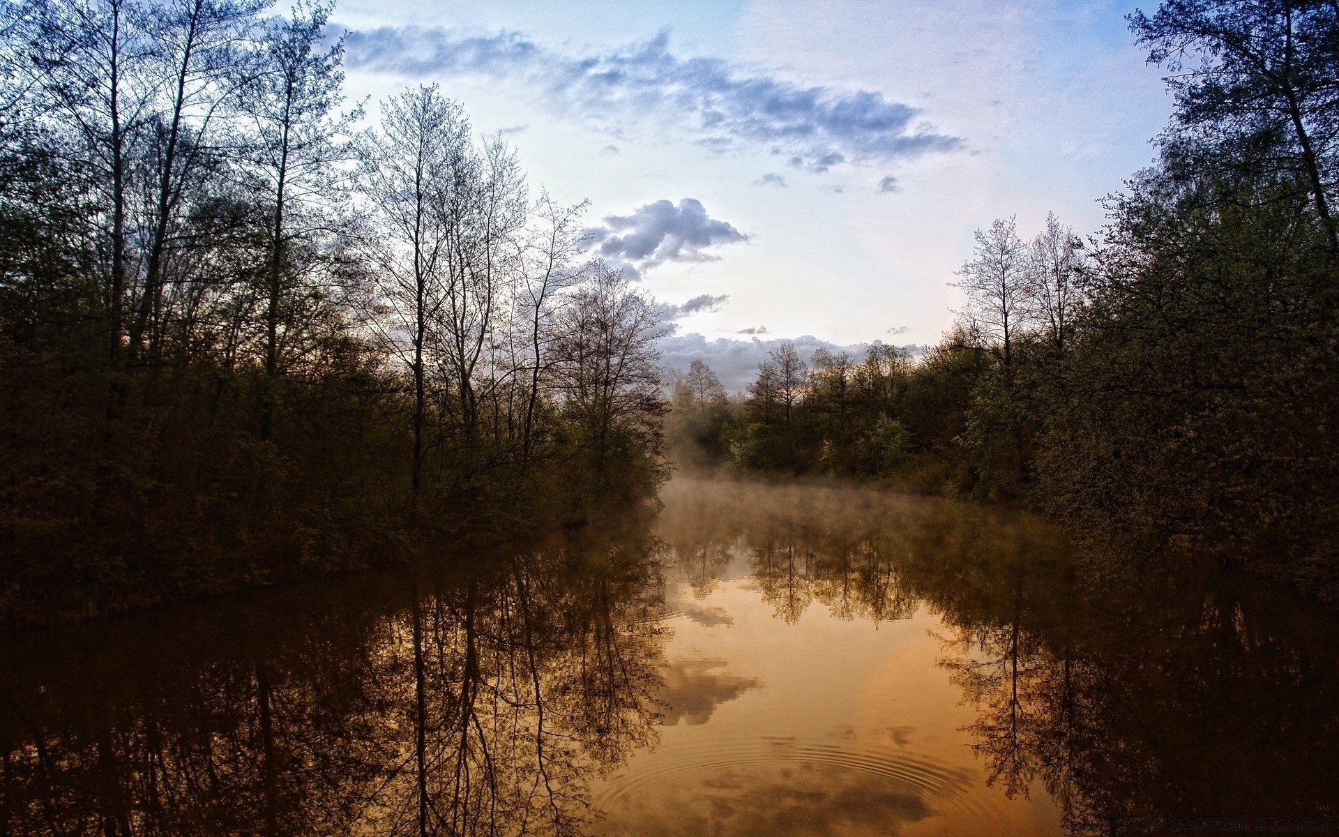 flüsse teiche und bäche teiche und bäche landschaft baum natur nebel holz dämmerung herbst nebel see im freien park reflexion licht himmel umwelt wasser wetter