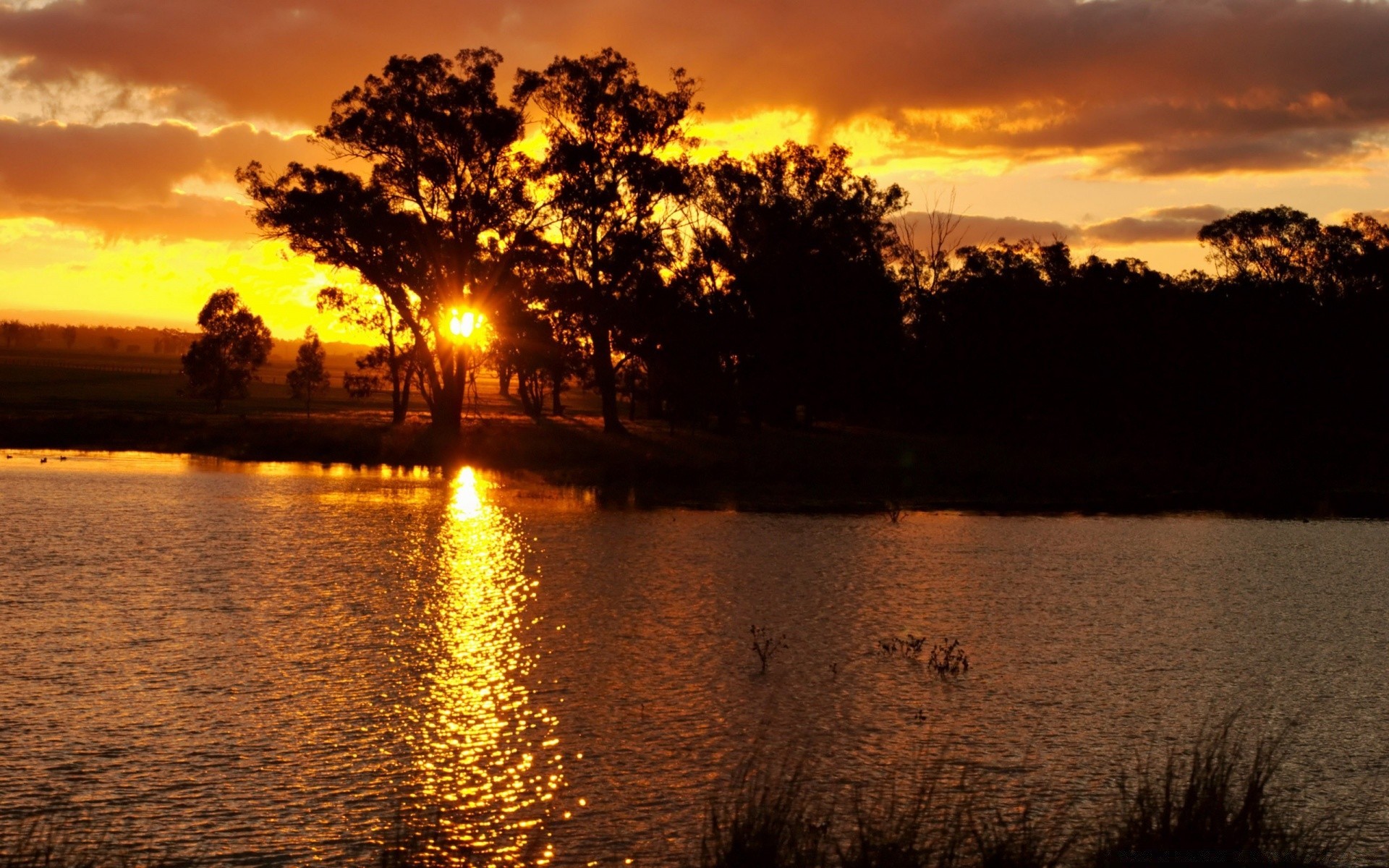 flüsse teiche und bäche teiche und bäche sonnenuntergang dämmerung reflexion wasser see landschaft natur abend fluss sonne baum himmel dämmerung silhouette licht hintergrundbeleuchtung