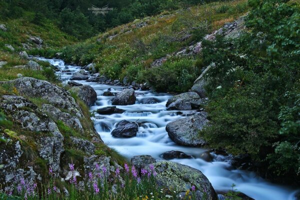 Arroyo de montaña en una zona montañosa