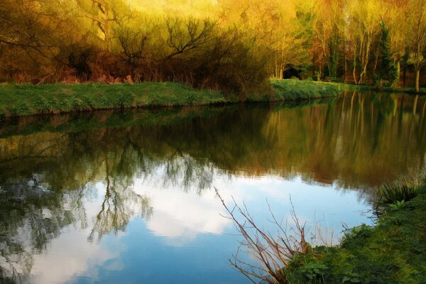 Lake in the autumn forest