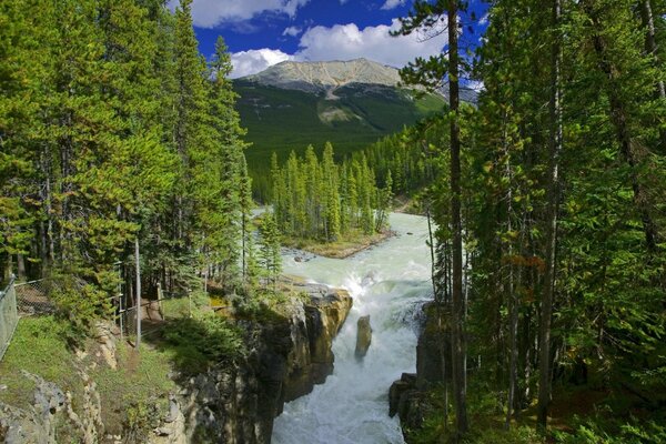 Hermosa naturaleza en las montañas