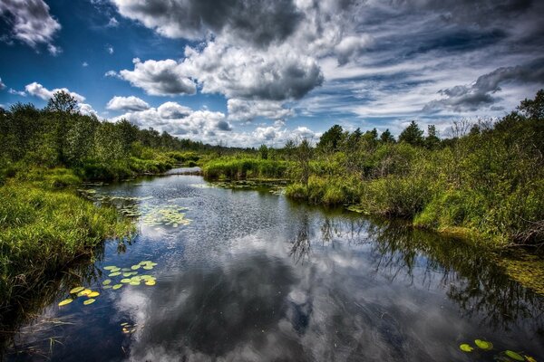 Eine schöne Kombination aus Waldwasser und Himmel