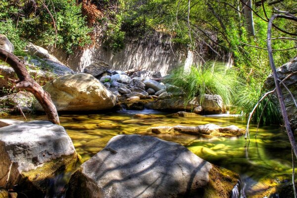 Sunny quiet backwater among the stones