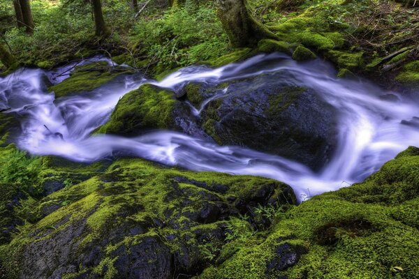 Forest waterfall among rocks and moss