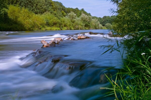 Mountain river in the forest