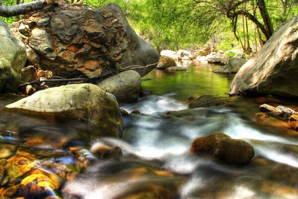 Um pequeno rio corre entre pedras e árvores