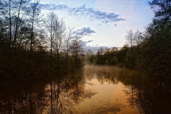 Niebla de la tarde sobre el río del bosque