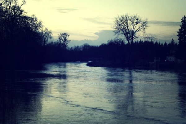 A dark river in the middle of a dark forest