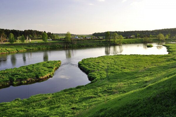 Fluss Natur grün Bäume Horizont