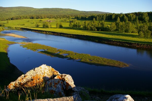 Blue pond on the background of a green forest