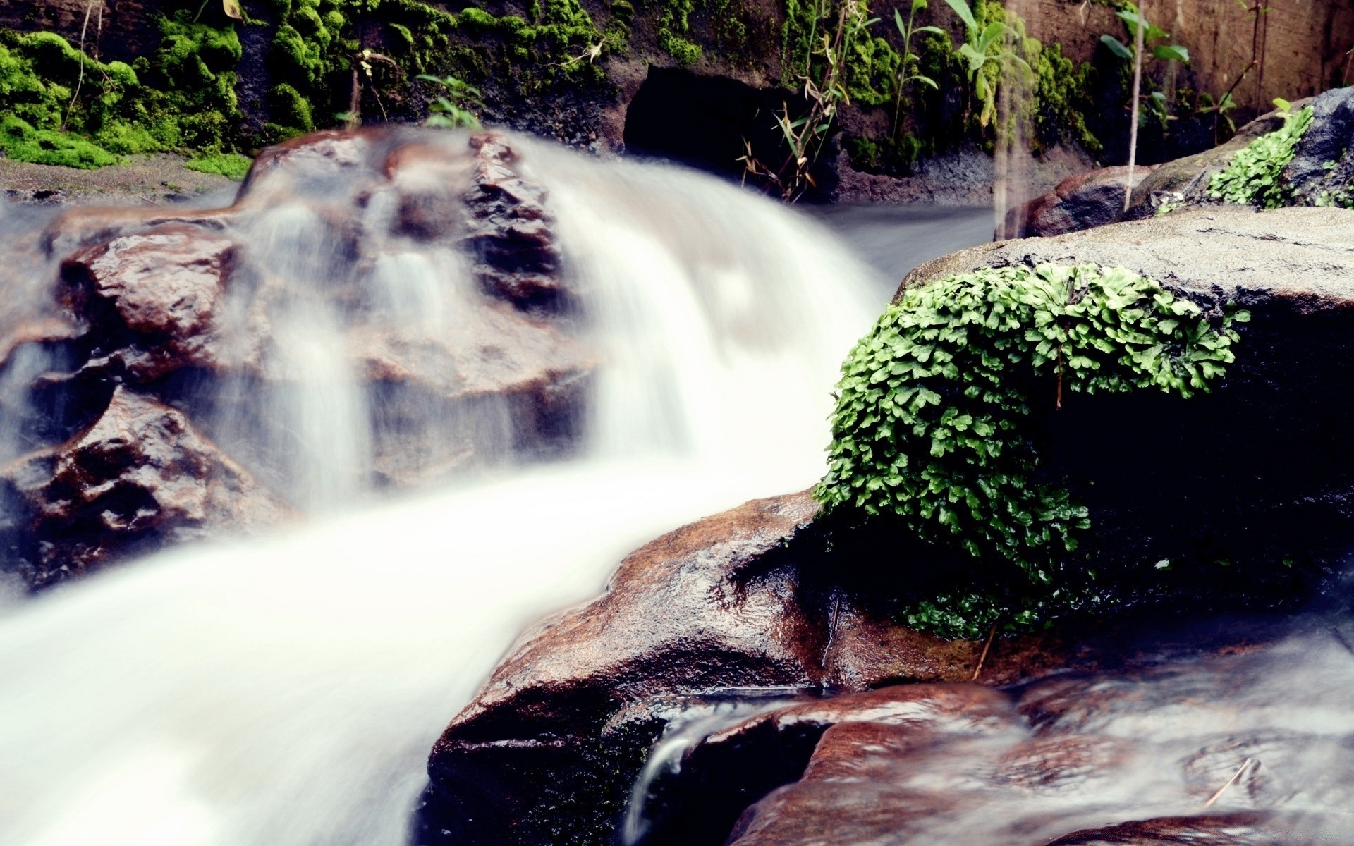 rivières étangs et ruisseaux étangs et ruisseaux eau à l extérieur cascade bois nature flou mouvement voyage rivière lumière du jour bois humide environnement