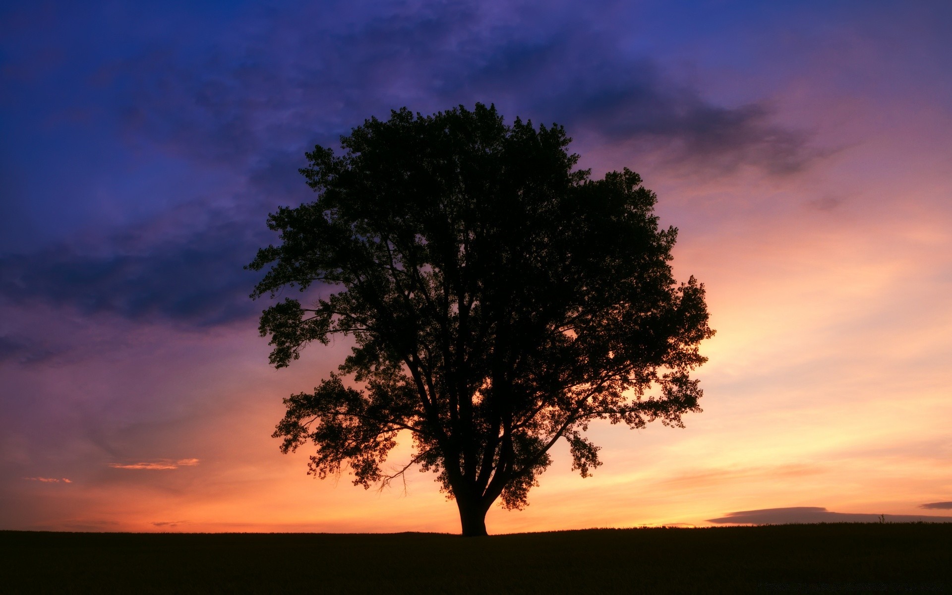 cielo amanecer puesta de sol paisaje árbol sol iluminado silueta naturaleza noche solo cielo al aire libre anochecer buen tiempo