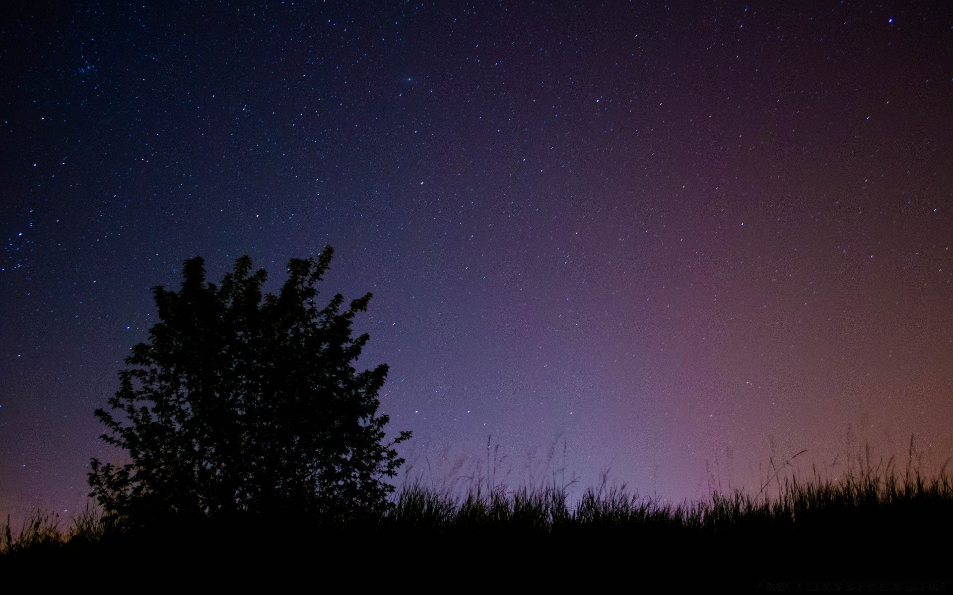 the sky moon astronomy sky dark constellation galaxy space landscape mystery winter evening silhouette tree nature light sun dusk fog weather