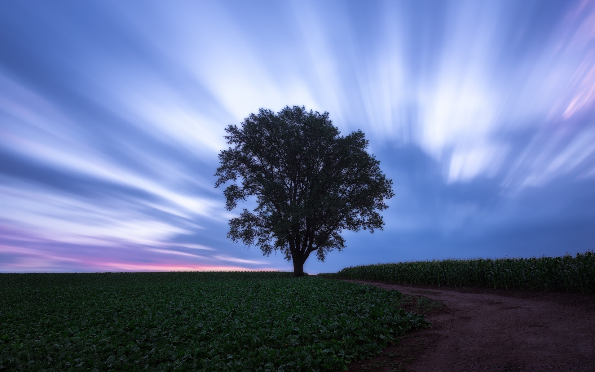 the sky landscape nature sun tree sky dawn sunset countryside fair weather rural outdoors grass field light evening summer