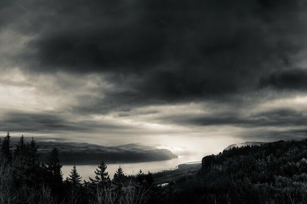 Paysage noir et blanc de la rivière au milieu de la forêt