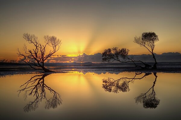 Près de l eau, le soleil se couche au coucher du soleil