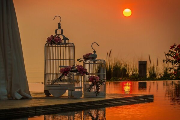 Jaulas con rosas en el fondo del lago