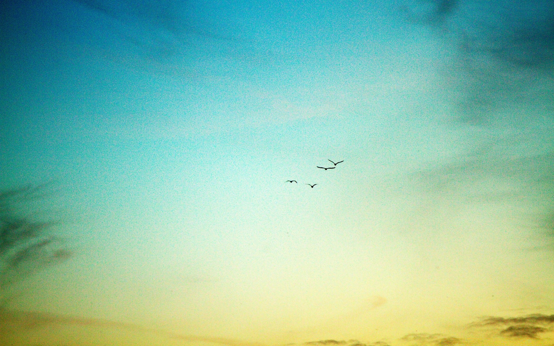 céu céu paisagem avião luz pôr do sol silhueta voo avião pássaro luz do dia sol praia natureza nuvem cor ao ar livre noite desktop tempo