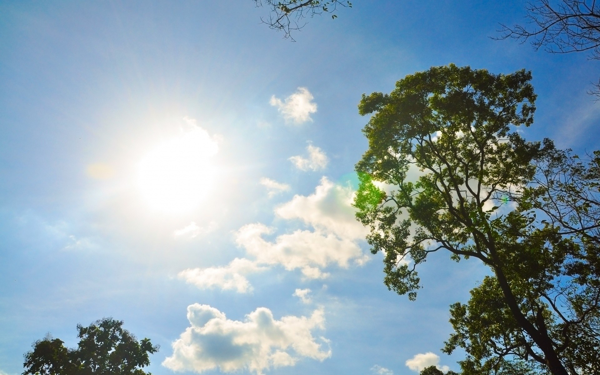 cielo natura cielo paesaggio sole bel tempo albero estate tempo all aperto ambiente luminoso luce nuvola stagione luce del giorno colore spettacolo foglia cielo