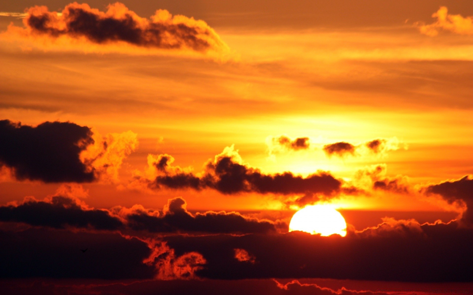 the sky sunset dawn sun evening dusk sky backlit silhouette dramatic nature fair weather landscape light