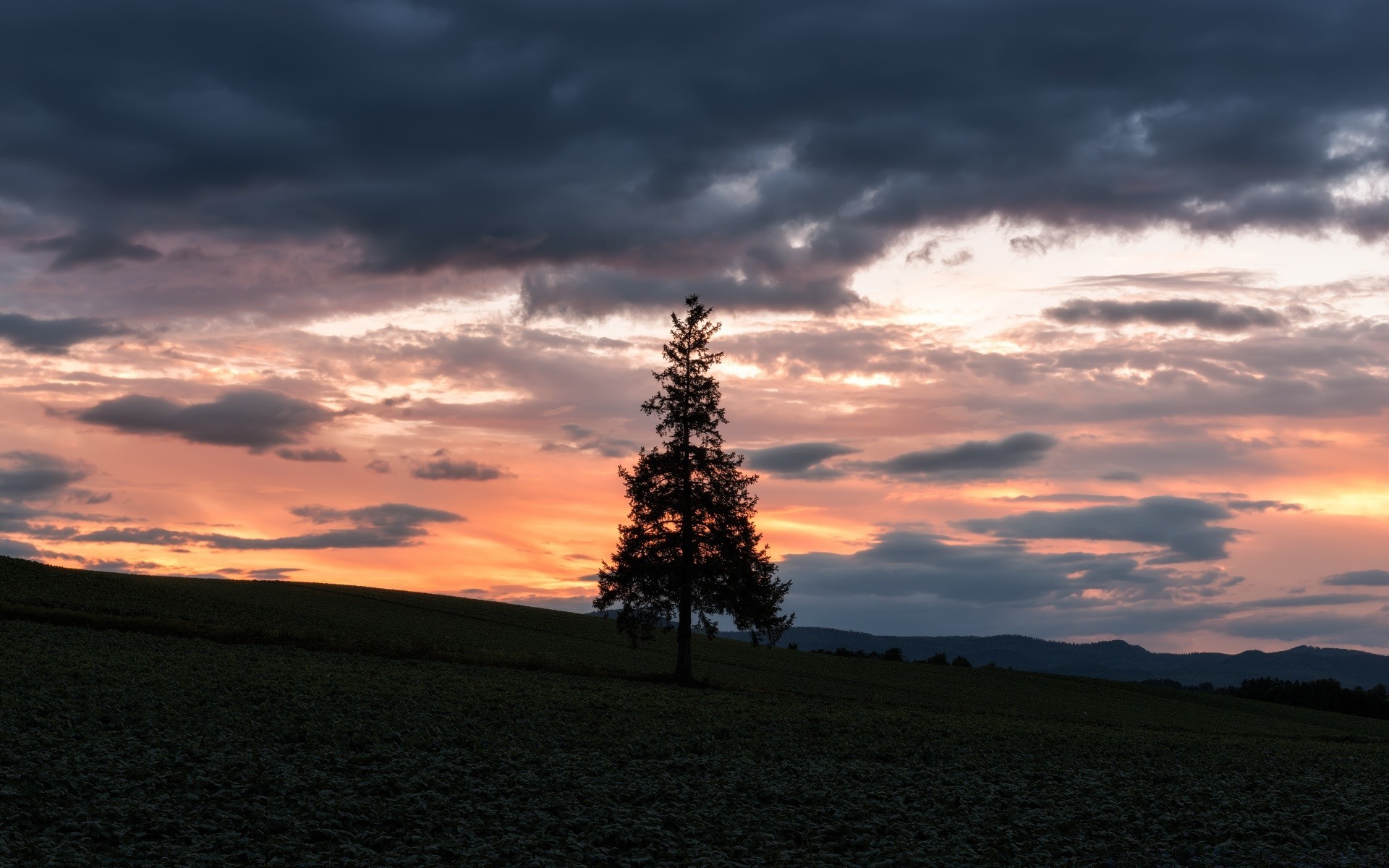 the sky sunset landscape dawn sky evening dusk sun outdoors tree light nature fog