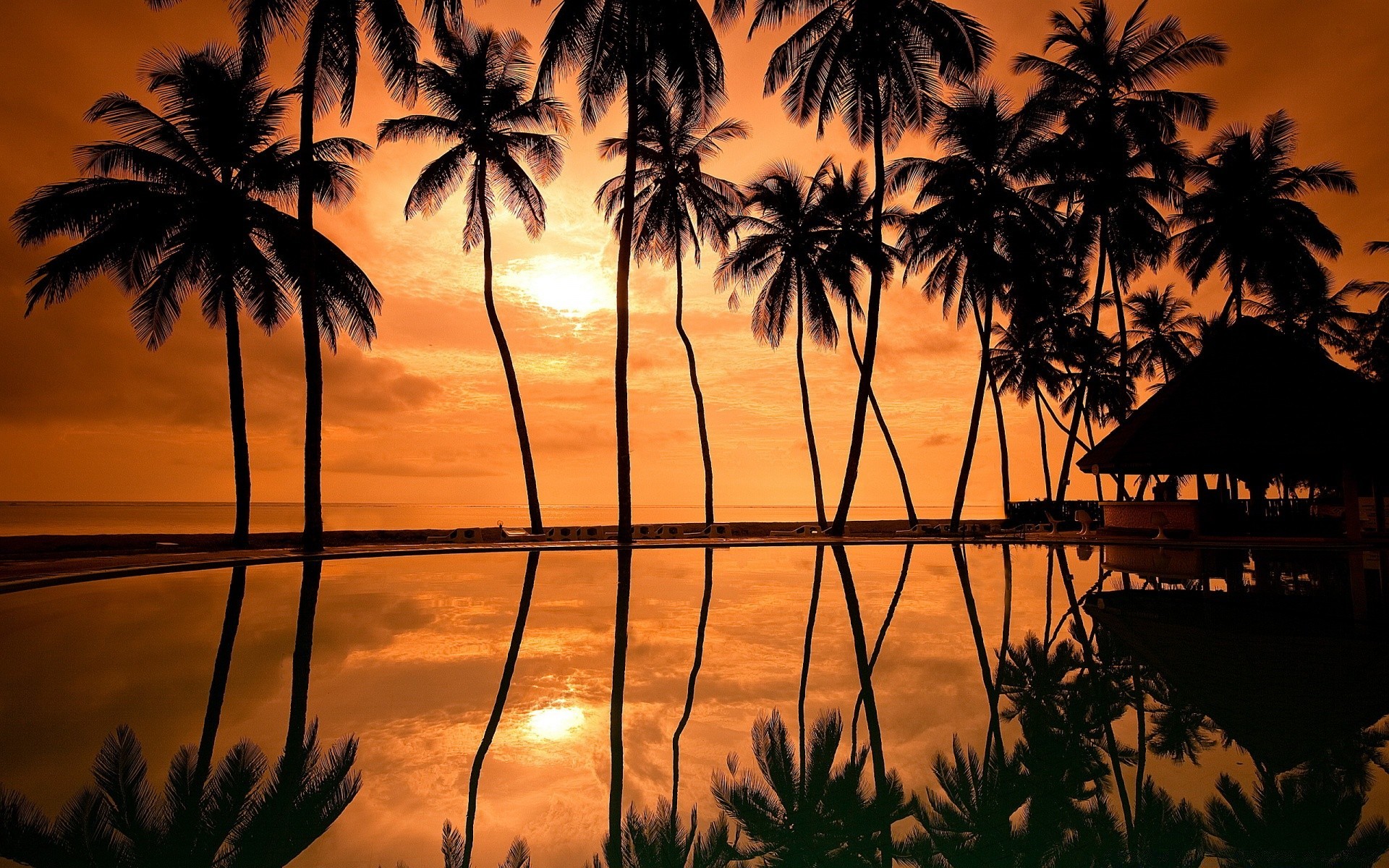 himmel palmen tropisch strand kokosnuss sonne meer exotisch sonnenuntergang ozean baum paradies urlaub insel resort idylle sommer sand reisen silhouette