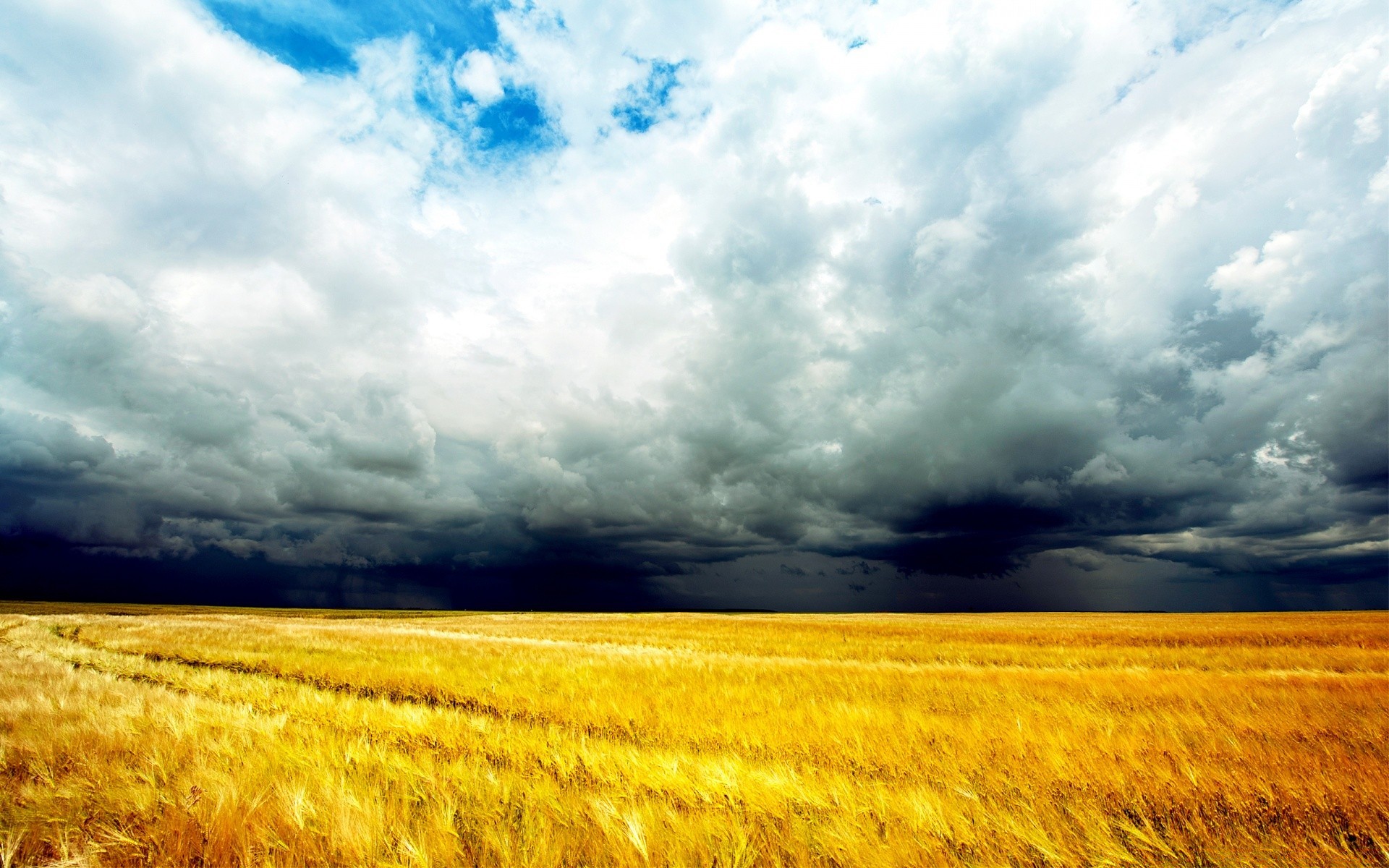 the sky sky nature landscape field rural farm agriculture wheat cereal pasture cloud crop fair weather corn countryside summer gold sun outdoors