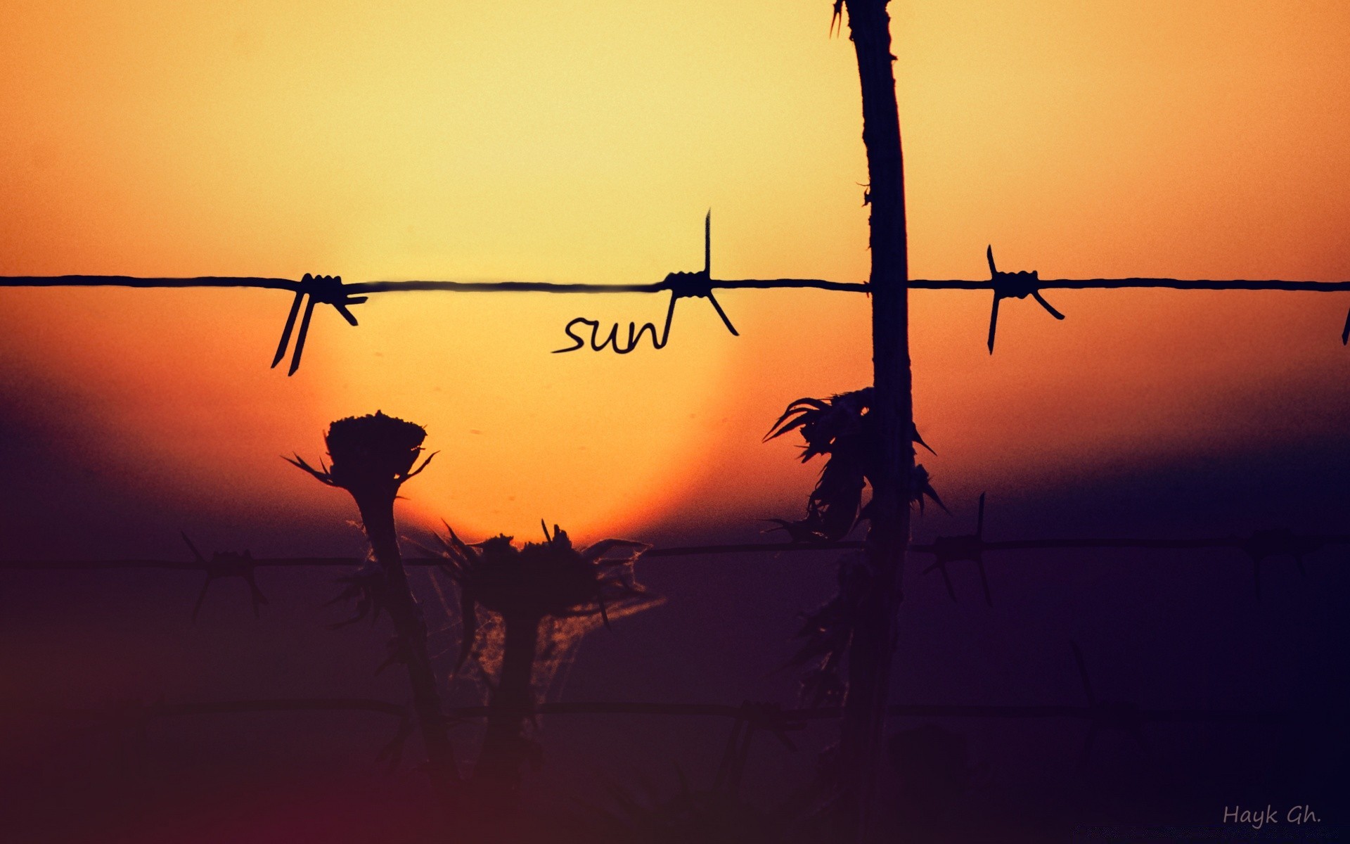 the sky sunset silhouette dawn sky wire dusk barbed wire evening backlit sun outdoors military nature aircraft travel danger