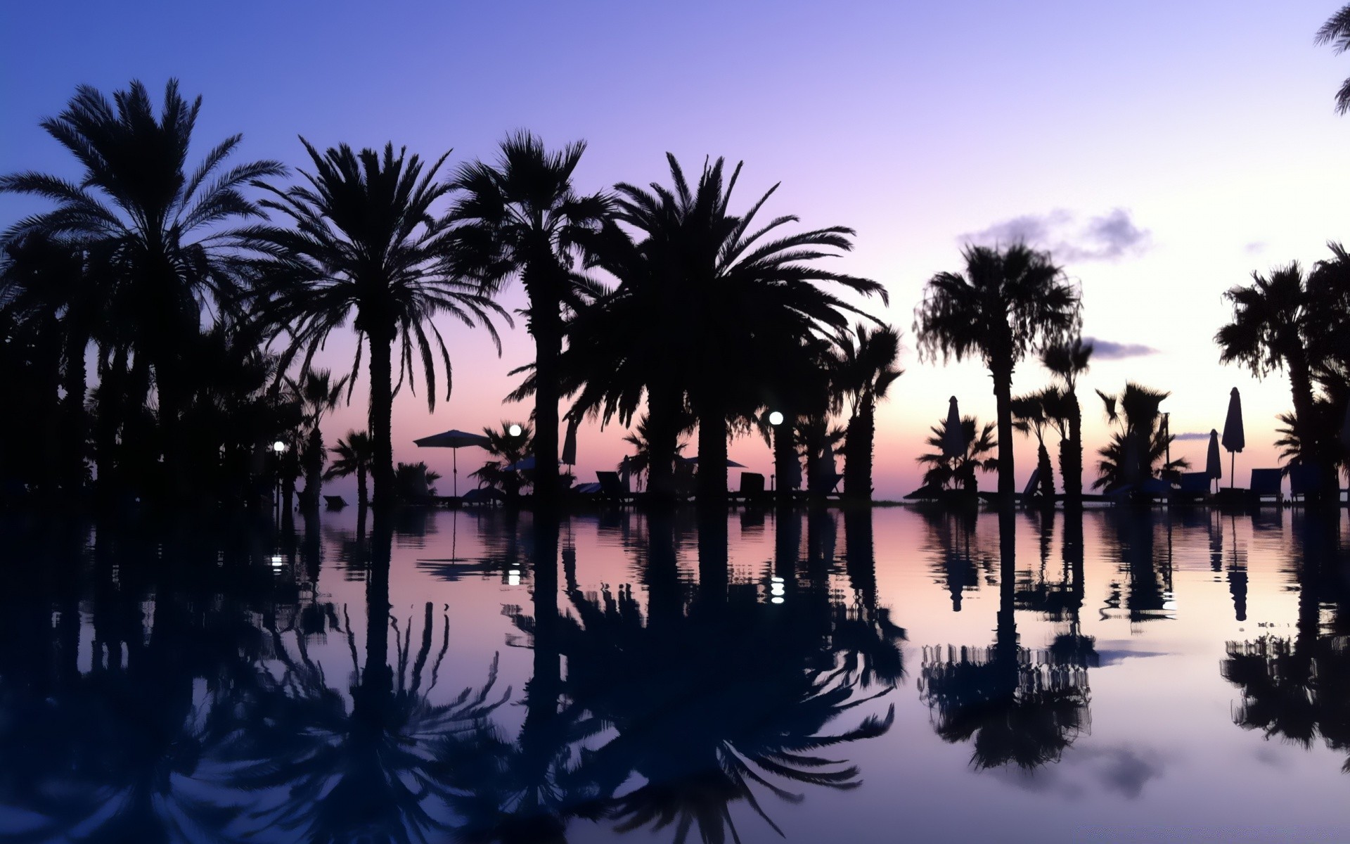 himmel palmen tropisch strand exotisch sonnenuntergang sonne sommer wasser meer kokosnuss baum reisen dämmerung entspannung insel paradies idylle im freien ozean