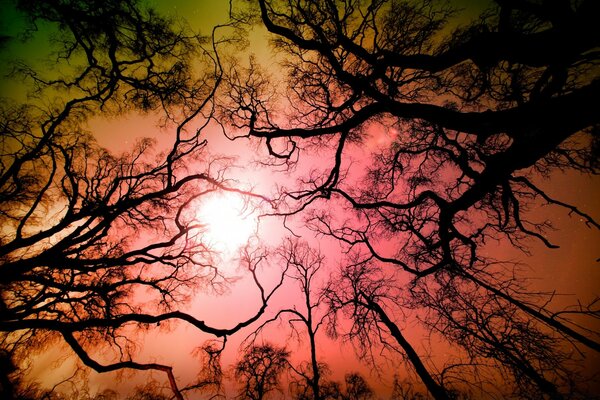 Ciel à l aube dans la nature