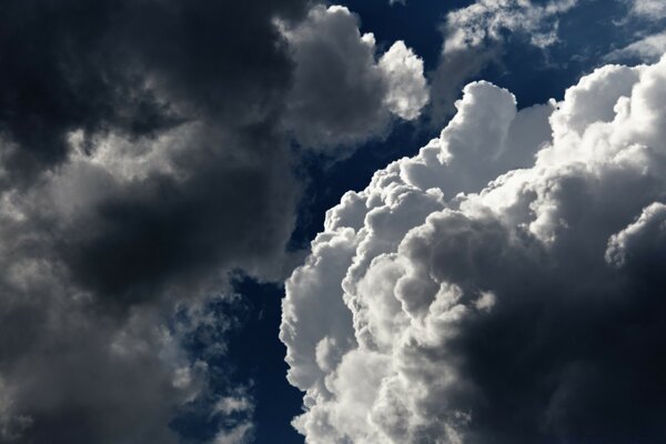 Natura e cielo con il bel tempo