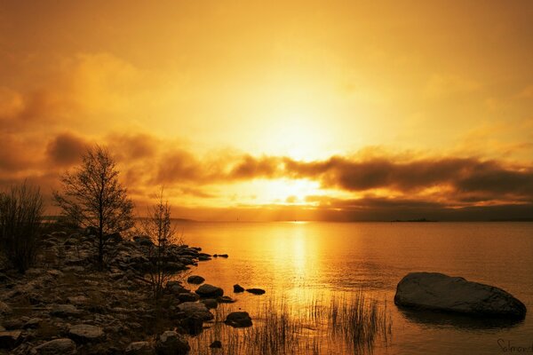 Beau coucher de soleil au bord de l eau