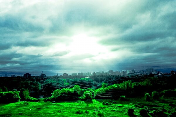 A árvore e o céu. Paisagem da natureza