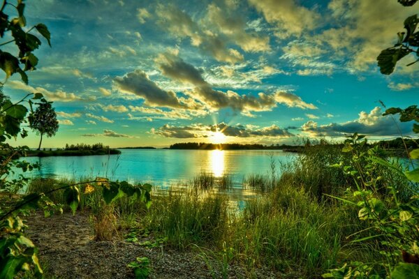 Puesta de sol en la costa en el bosque