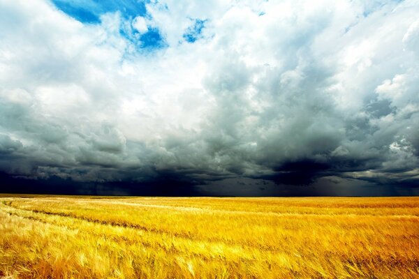 Natura in attesa di pioggia e temporali