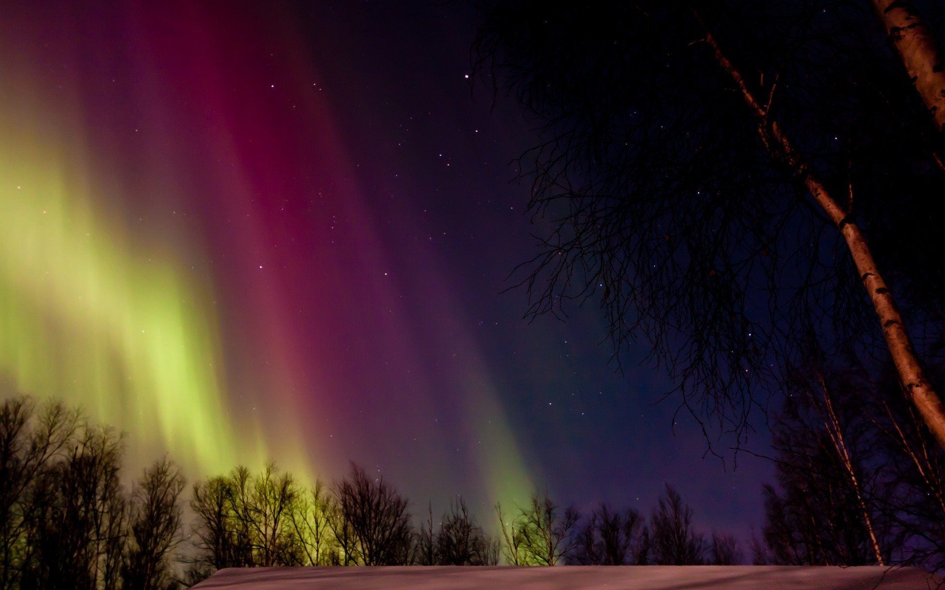 the sky landscape rainbow color sunset sun dawn tree