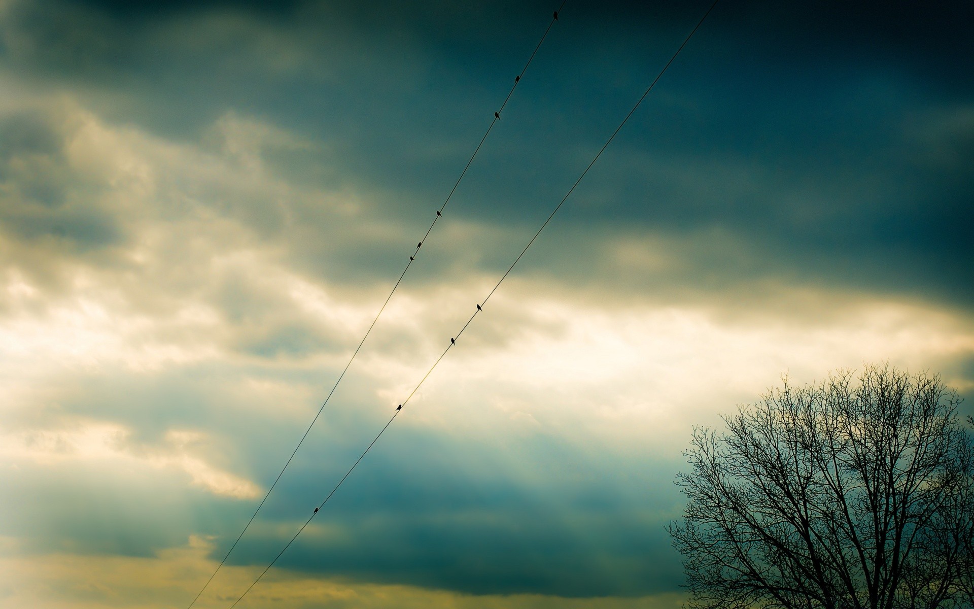 the sky landscape sky sunset nature sun light weather dawn cloud storm fair weather color evening desktop