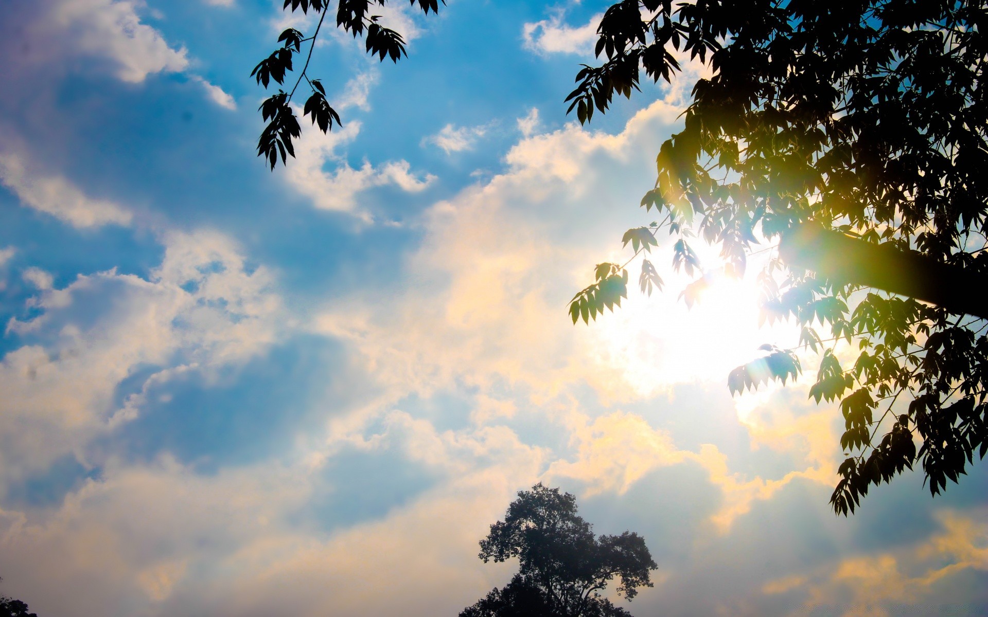 céu natureza céu sol paisagem verão luz bom tempo ao ar livre árvore pôr do sol tempo cor desktop amanhecer brilhante