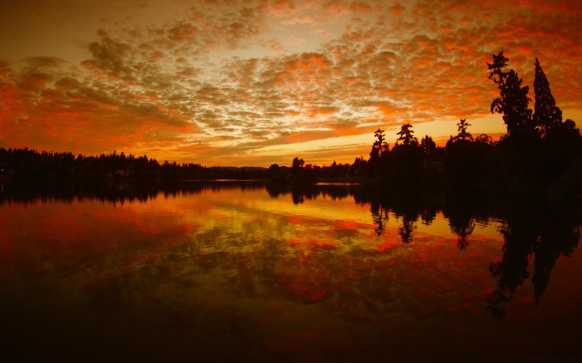 the sky sunset dawn evening reflection silhouette backlit lake water dusk tree landscape river outdoors sky