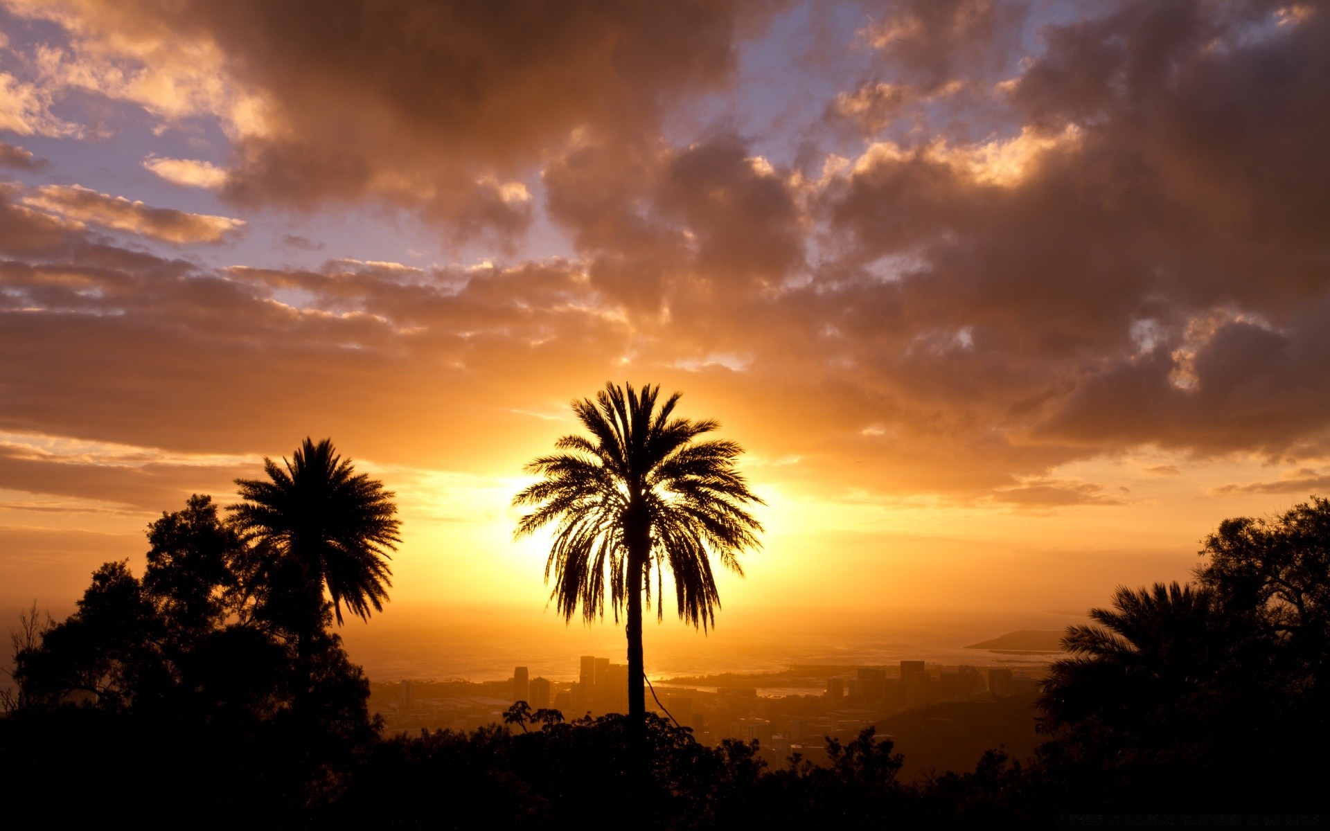 cielo tramonto sole alba tropicale cielo estate bel tempo crepuscolo natura sera all aperto albero viaggi esotico illuminato spiaggia