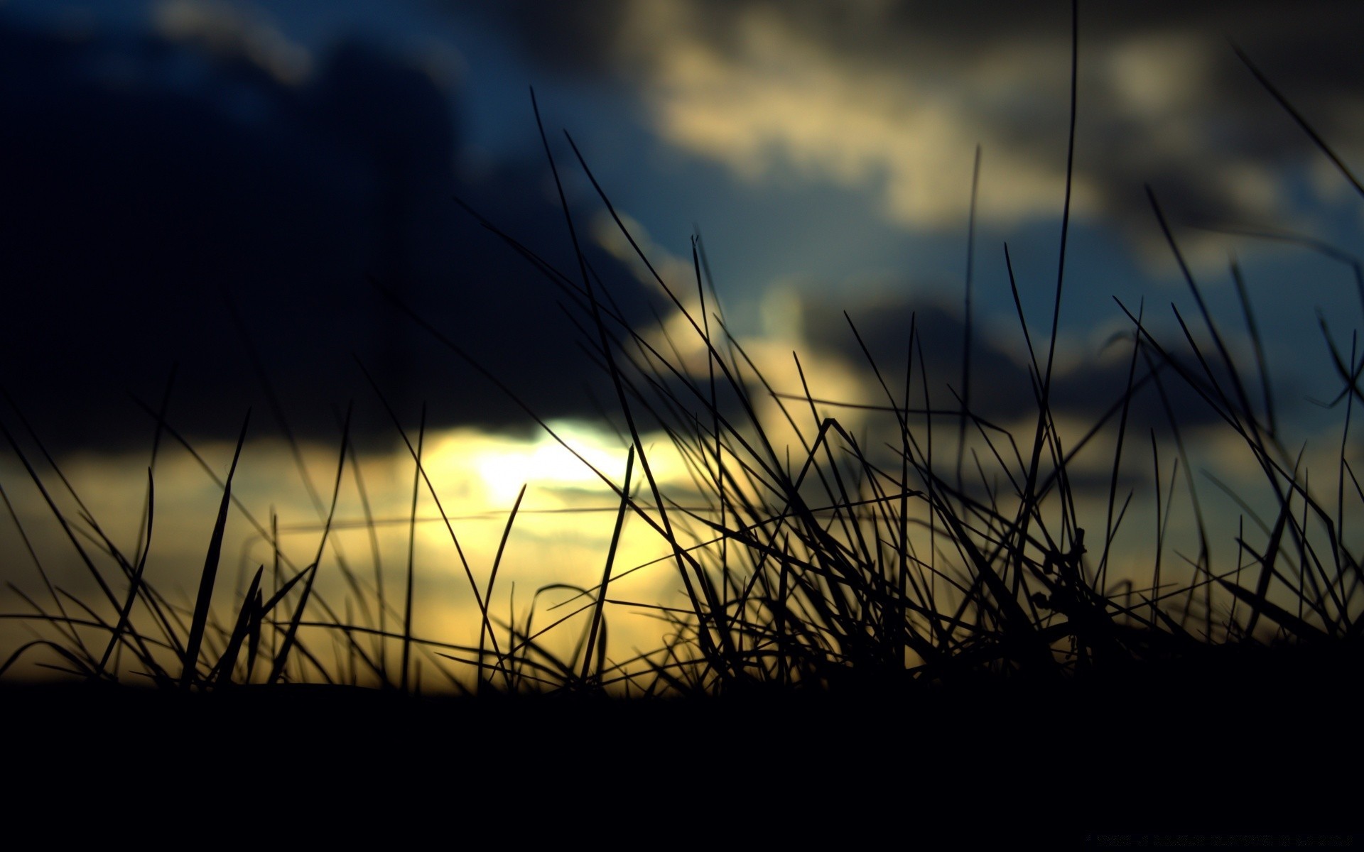 the sky grass sunset sun field nature dawn hayfield landscape light sky silhouette beach desktop