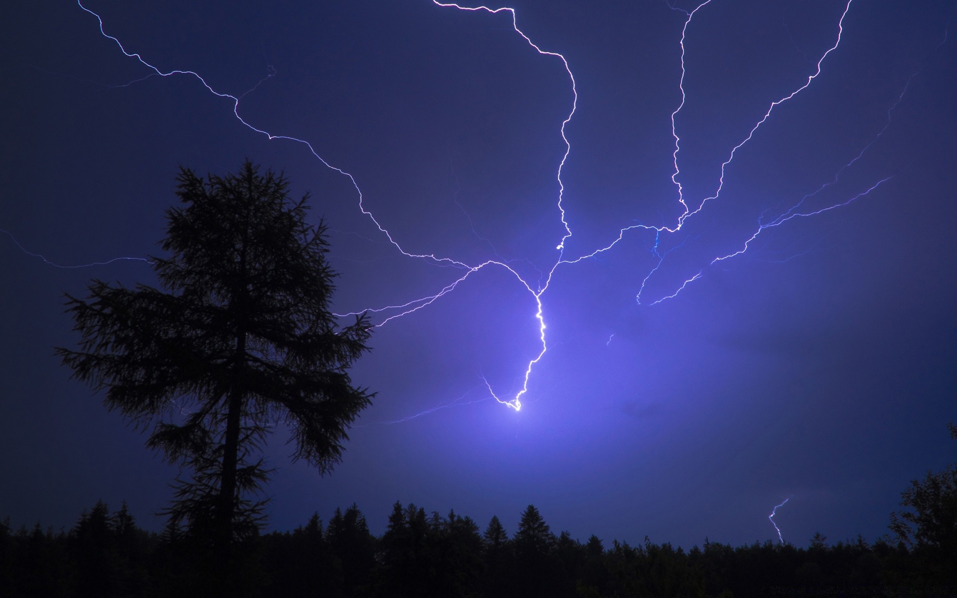 niebo błyskawica grzmot burza burza z piorunami sylwetka niebo wieczór ciemny piorun zachód słońca drzewo deszcz pogoda światło błysk katastrofa na zewnątrz natura świt