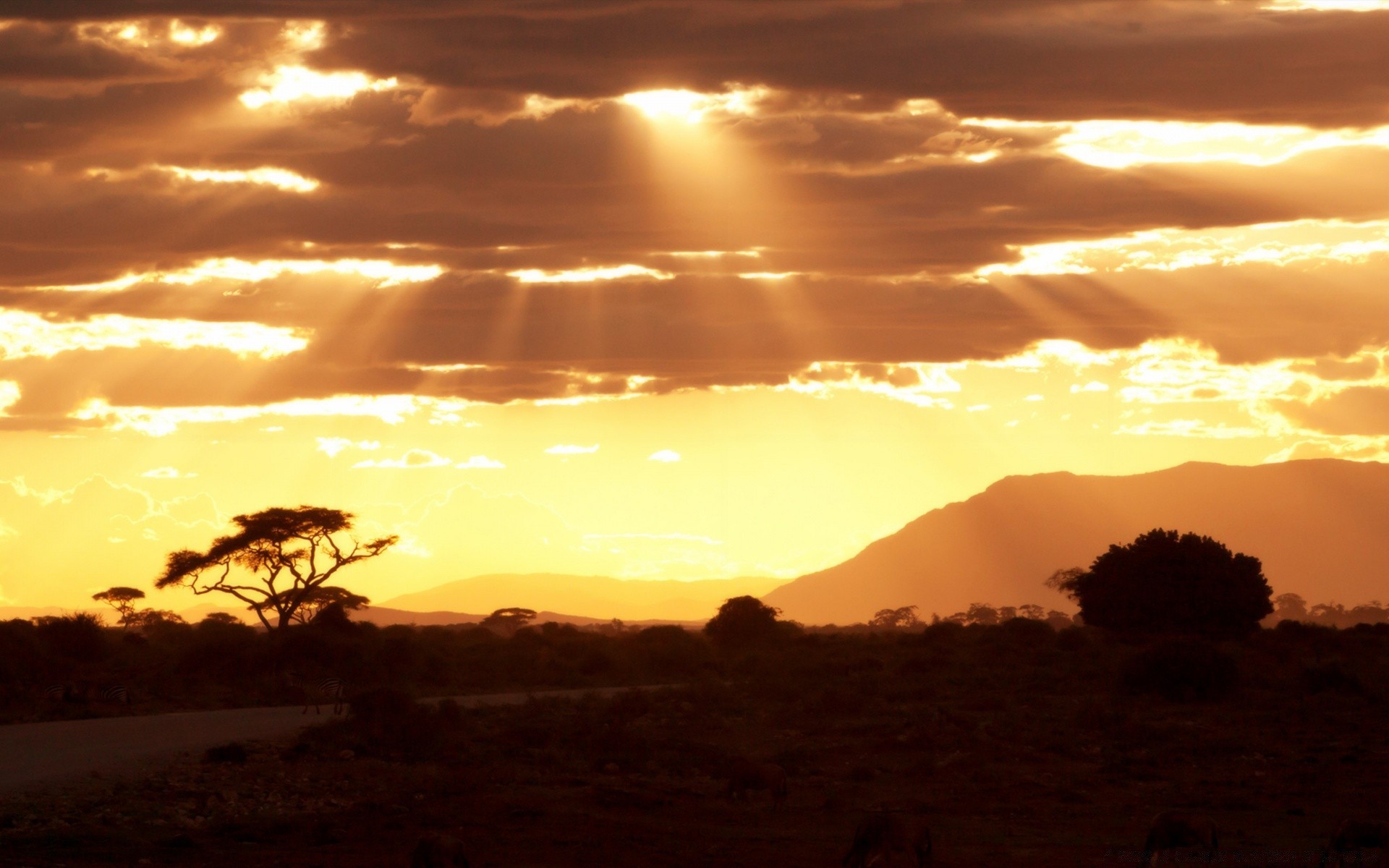 céu pôr do sol amanhecer noite luz de fundo crepúsculo sol silhueta paisagem céu deserto árvore ao ar livre bom tempo viajar luz natureza