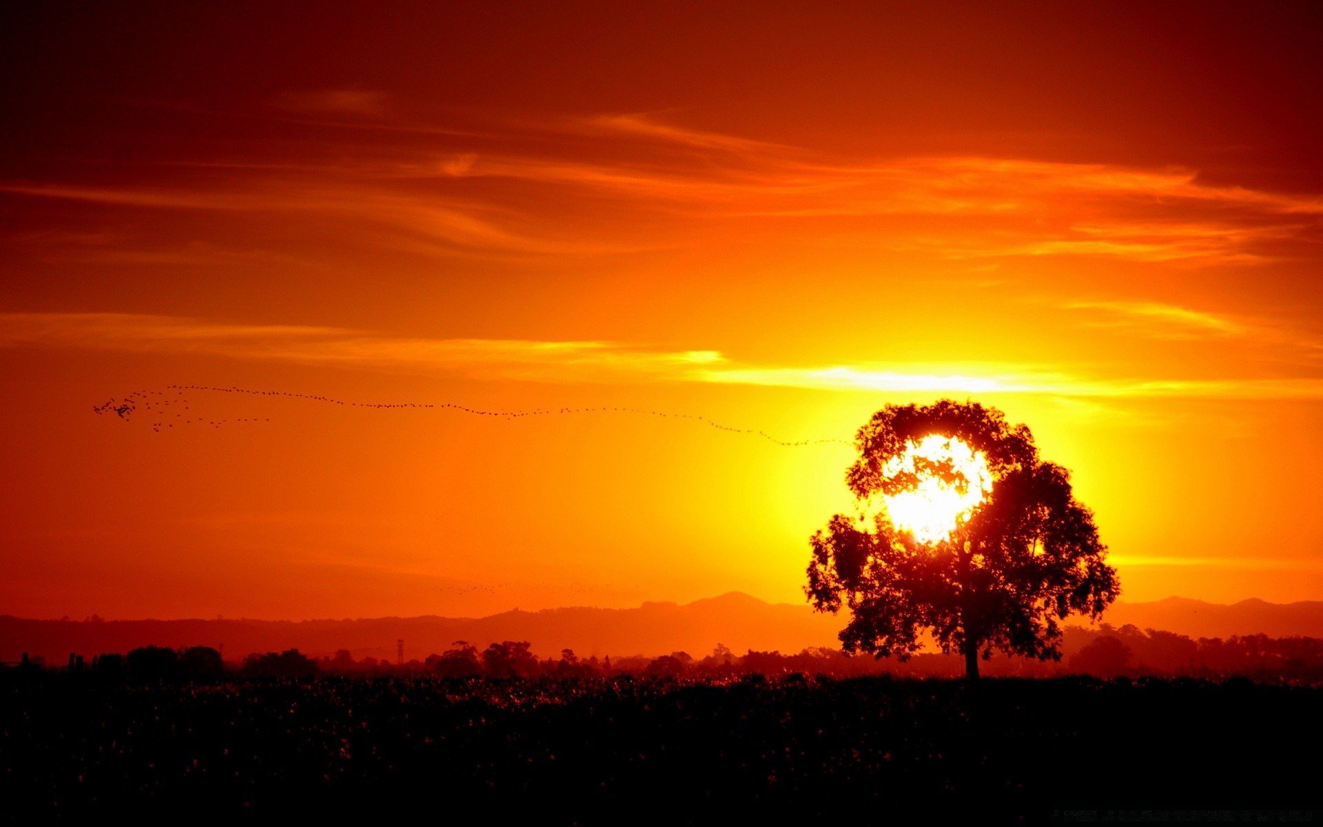 the sky sunset dawn evening sun landscape silhouette light dusk backlit sky nature